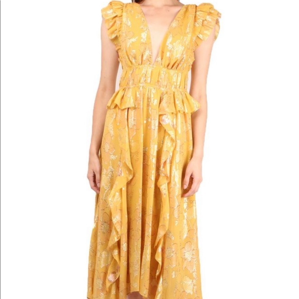 NWOT Ulla Johnson floral metallic Nerissa dress
